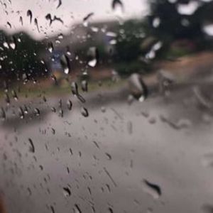 Meet your Posher, Diego